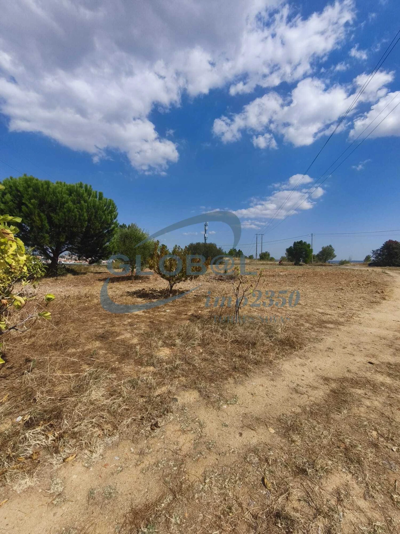 Terreno para Venda em Meia Via Foto 8