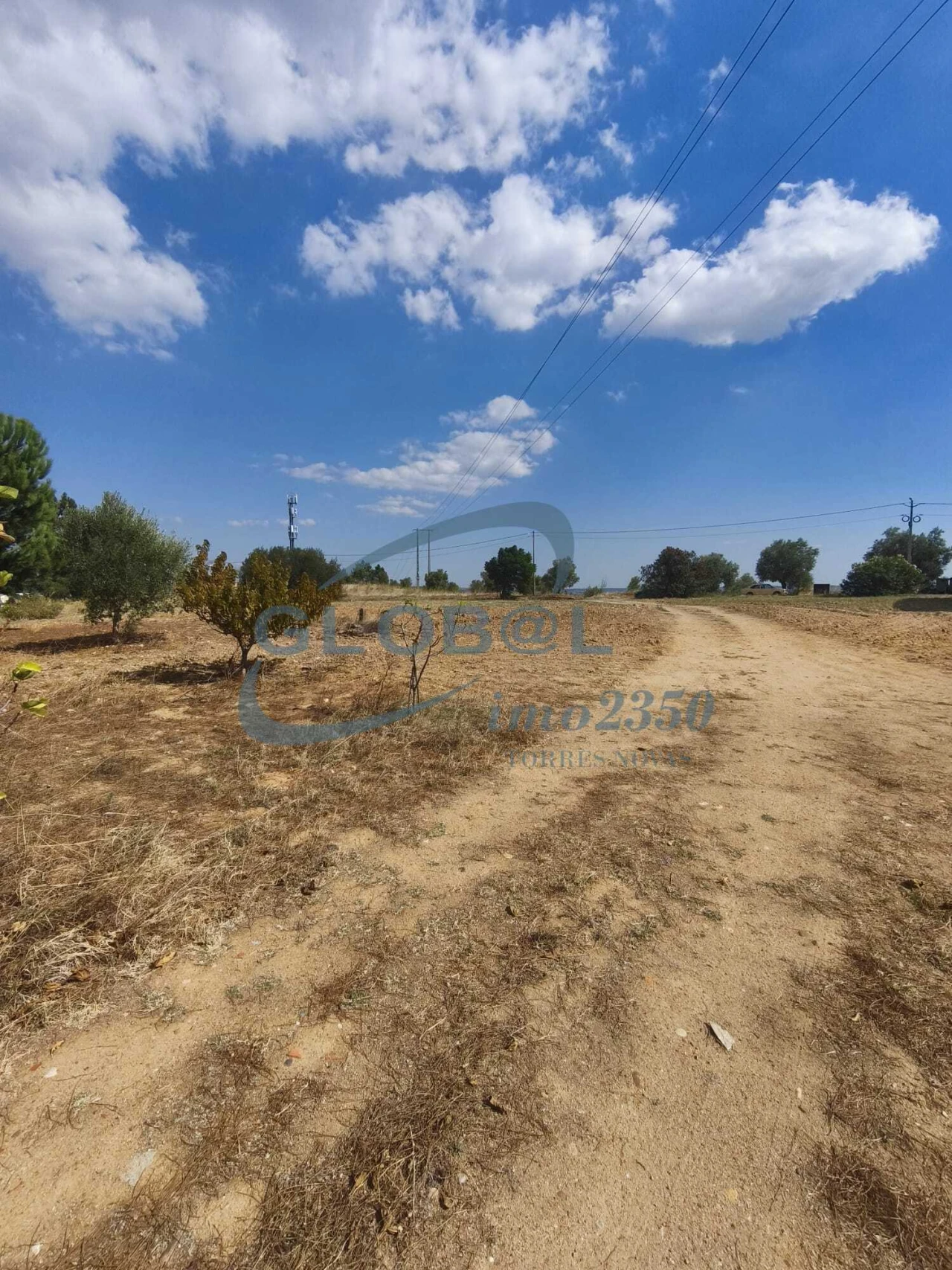 Terreno para Venda em Meia Via Foto 7