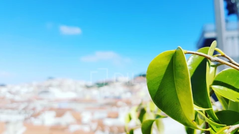 Prédio para Venda em Misericórdia