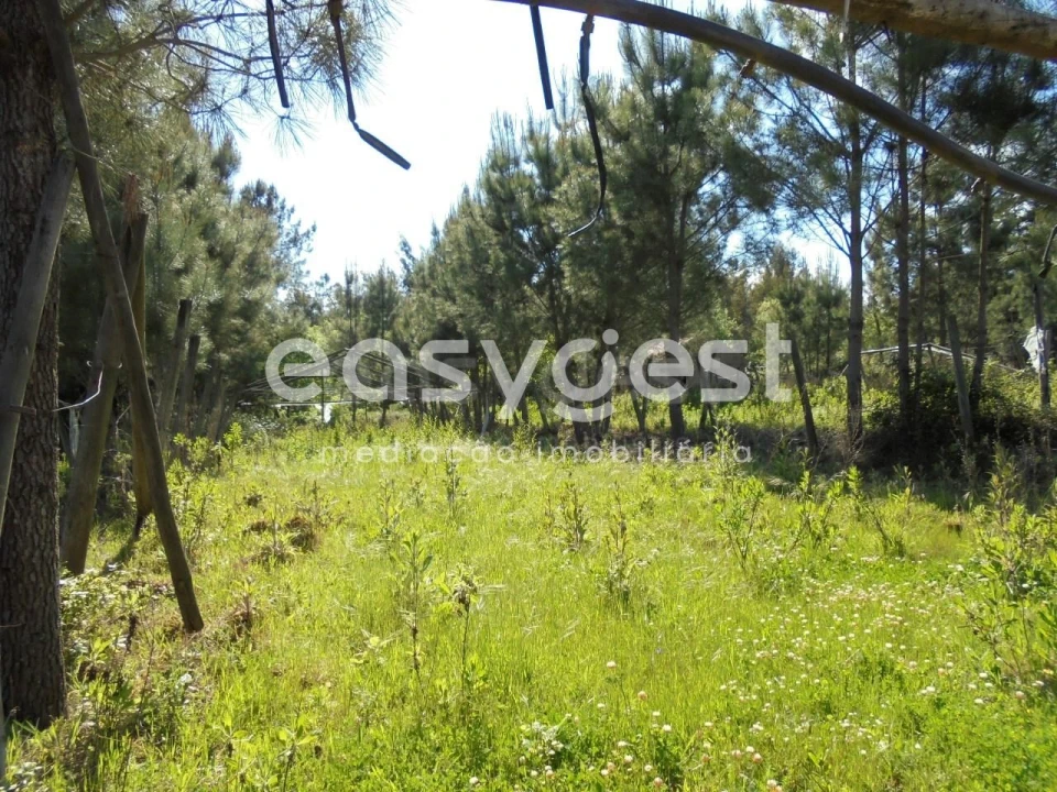 Terreno para Venda em Ferreira do Zezere Foto 1