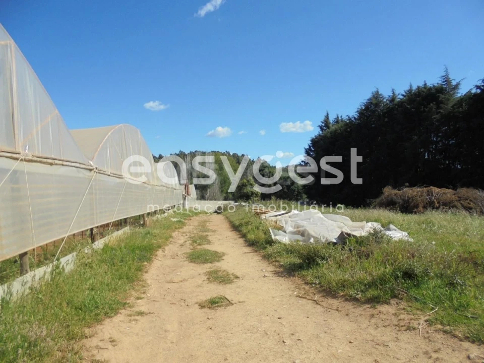 Terreno para Venda em Ferreira do Zezere Foto 5