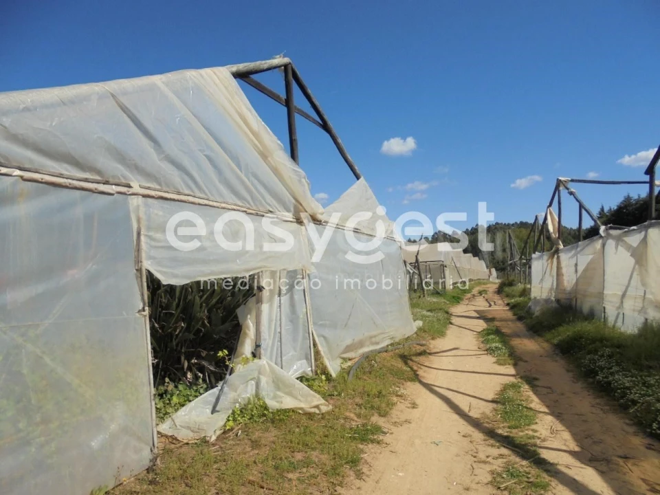 Terreno para Venda em Ferreira do Zezere Foto 6
