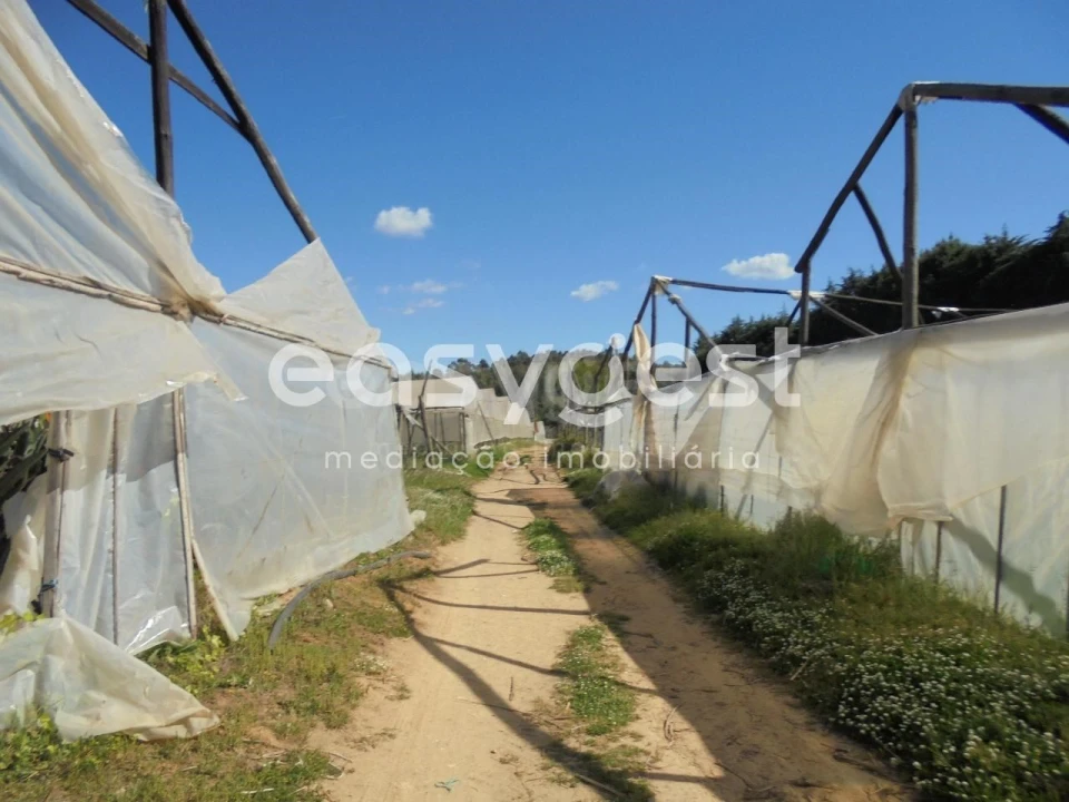 Terreno para Venda em Ferreira do Zezere Foto 7