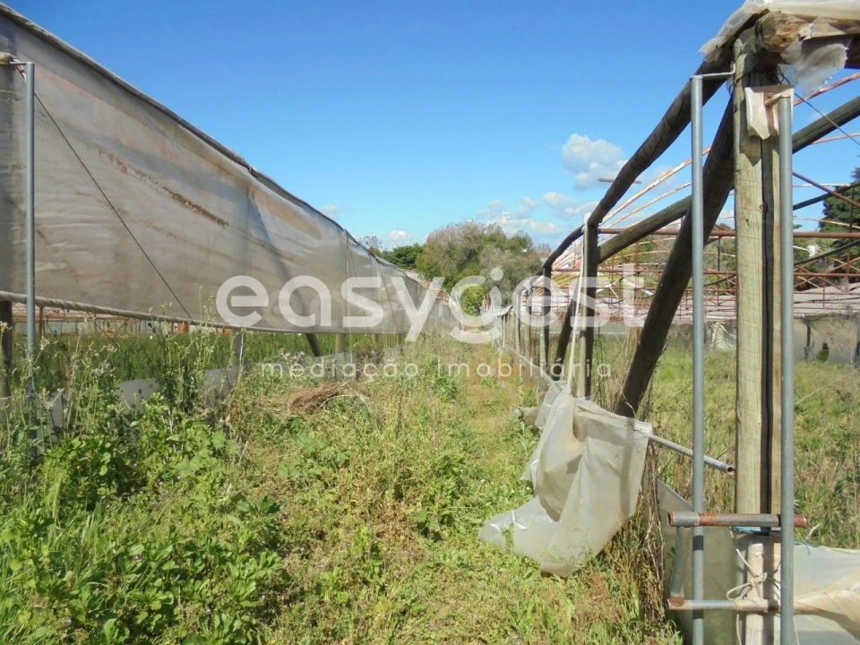 Terreno para Venda em Ferreira do Zezere Foto 8