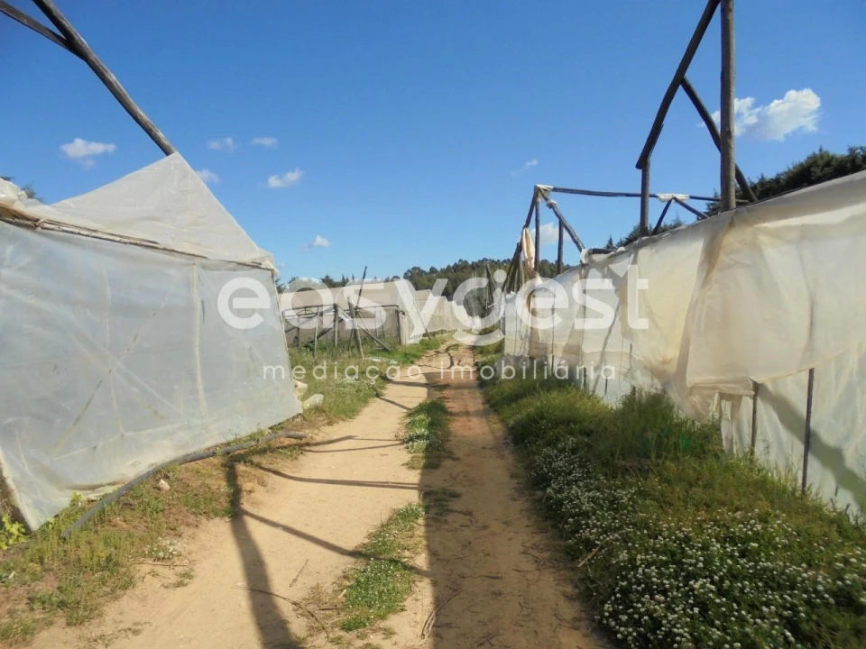 Terreno para Venda em Ferreira do Zezere Foto 13
