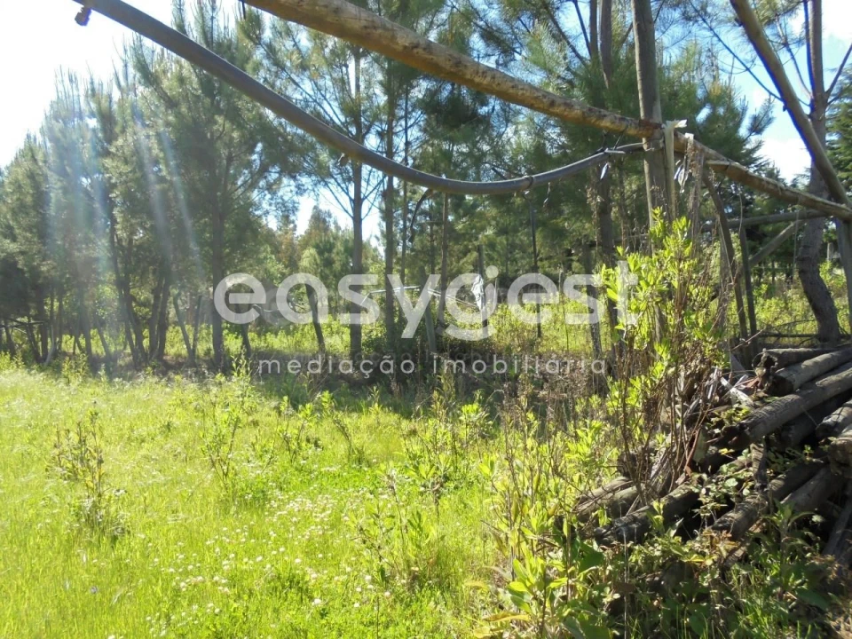 Terreno para Venda em Ferreira do Zezere Foto 14