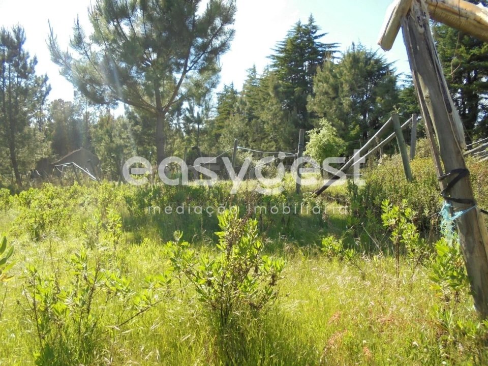 Terreno para Venda em Ferreira do Zezere Foto 15