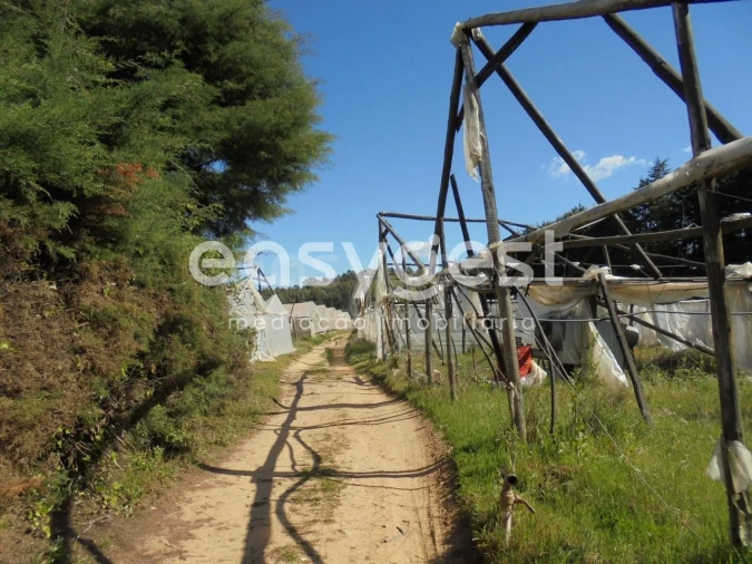 Terreno para Venda em Ferreira do Zezere Foto 3