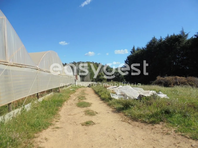 Terreno para Venda em Ferreira do Zezere Foto 5
