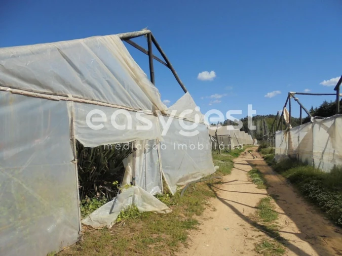 Terreno para Venda em Ferreira do Zezere Foto 6