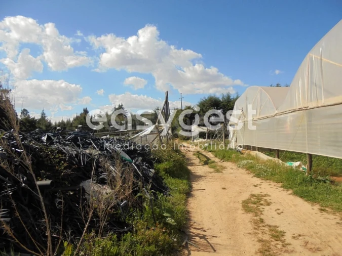 Terreno para Venda em Ferreira do Zezere Foto 11