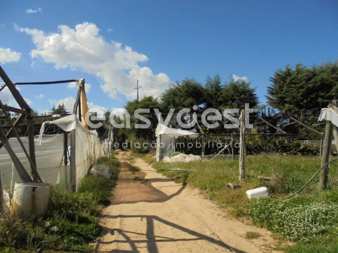 Terreno para Venda em Ferreira do Zezere Foto 12