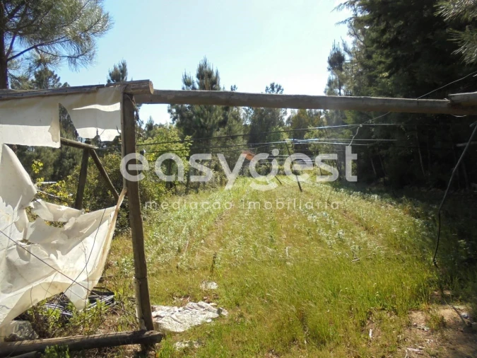 Terreno para Venda em Ferreira do Zezere Foto 16