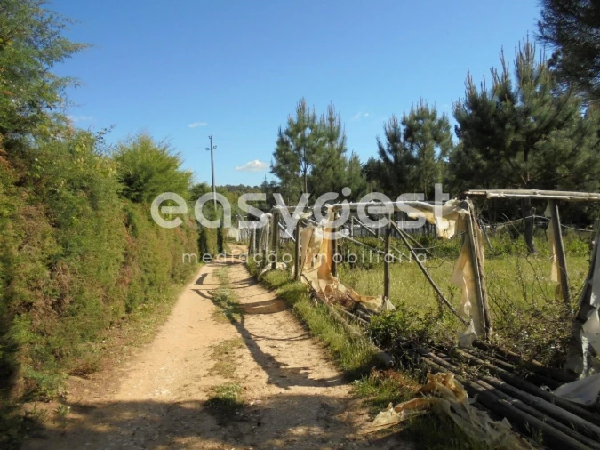 Terreno para Venda em Ferreira do Zezere Foto 17