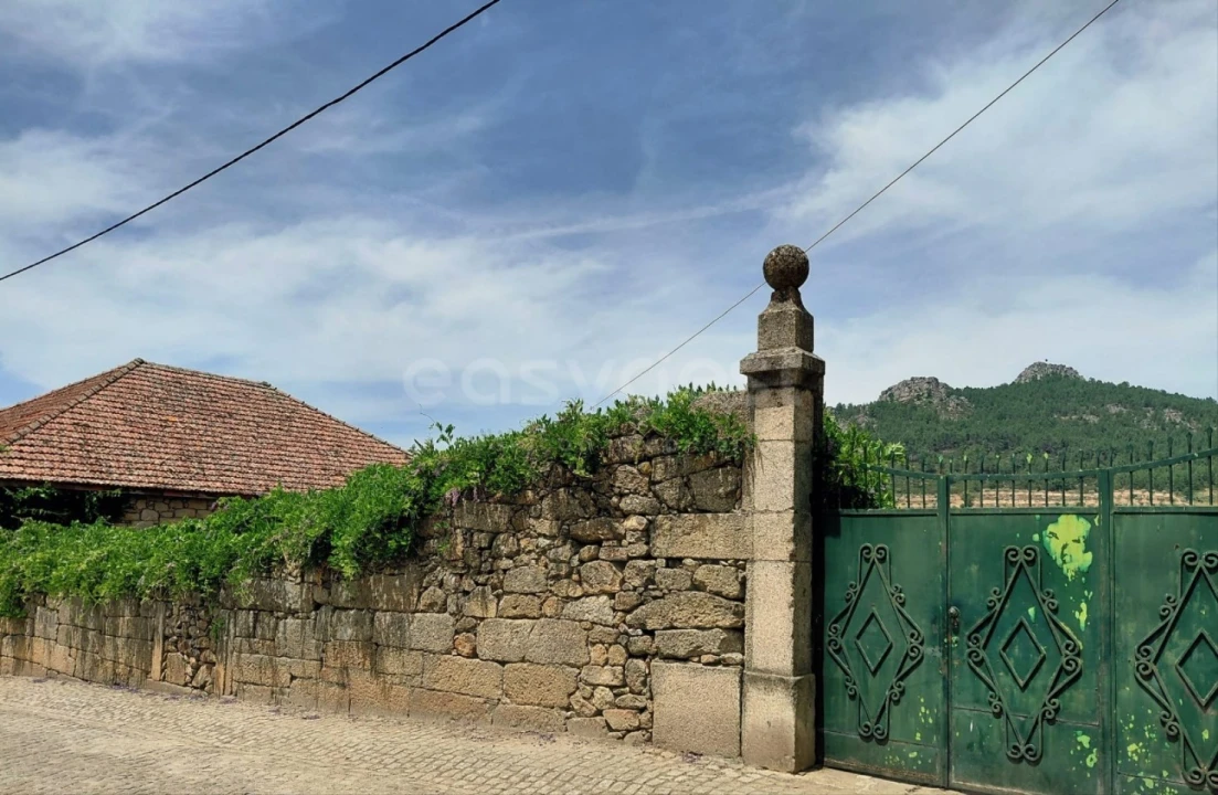 Quinta para Venda em Vila Flor e Nabo Foto 4