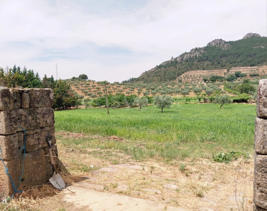 Quinta para Venda em Vila Flor e Nabo Foto 9