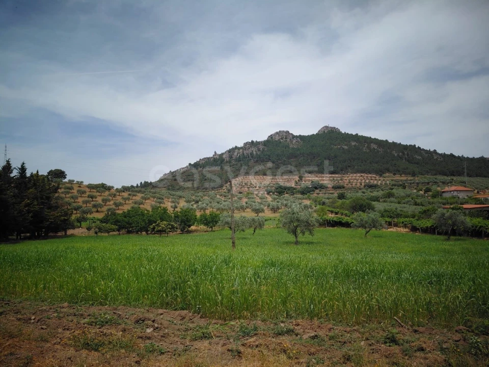 Quinta para Venda em Vila Flor e Nabo Foto 10
