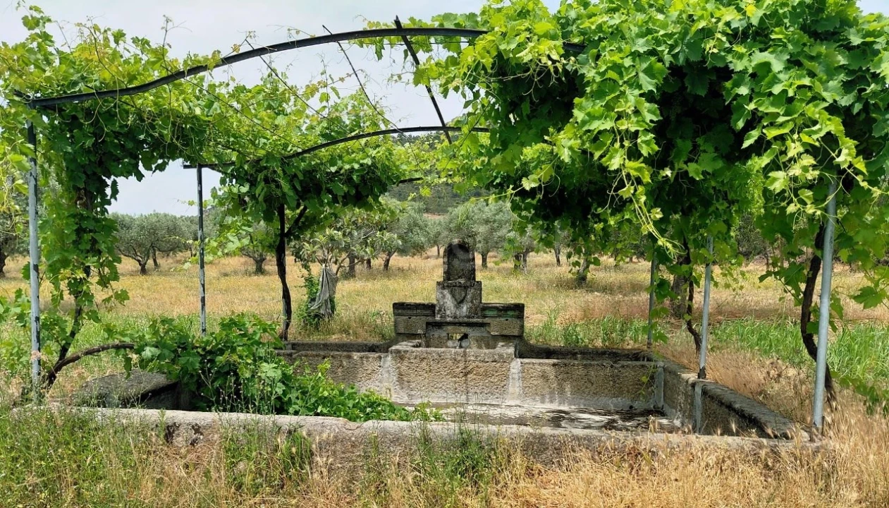 Quinta para Venda em Vila Flor e Nabo Foto 14