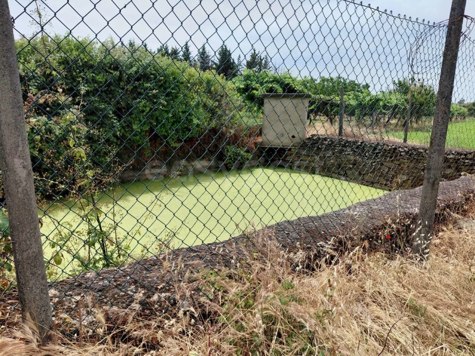 Quinta para Venda em Vila Flor e Nabo Foto 15
