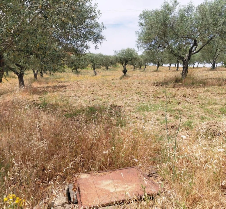 Quinta para Venda em Vila Flor e Nabo Foto 19