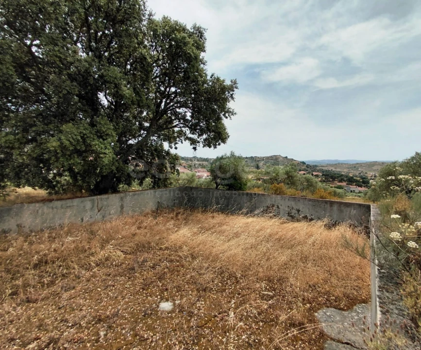 Quinta para Venda em Vila Flor e Nabo Foto 20