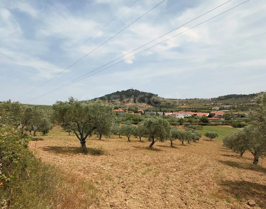 Quinta para Venda em Vila Flor e Nabo Foto 23