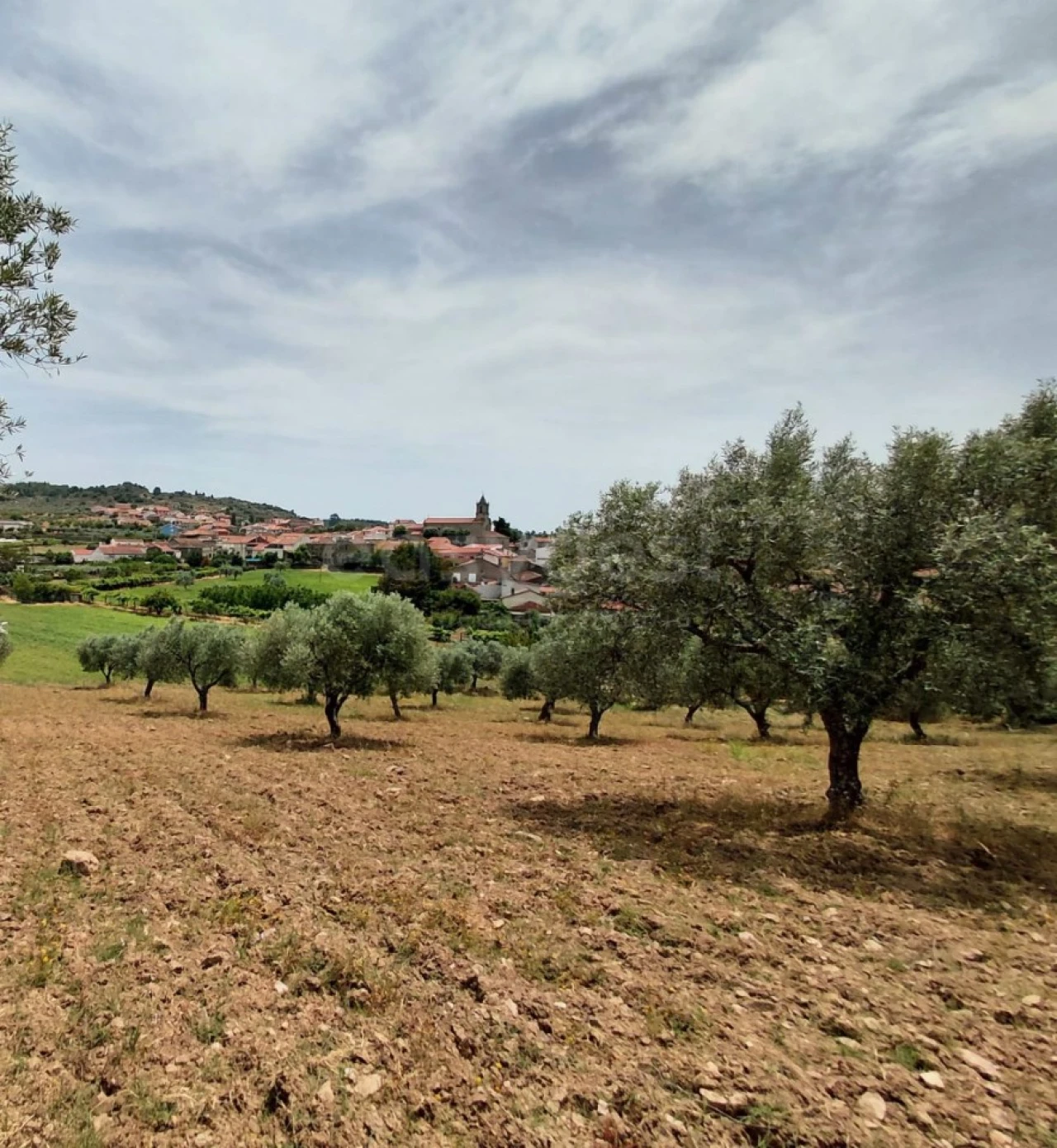 Quinta para Venda em Vila Flor e Nabo Foto 24