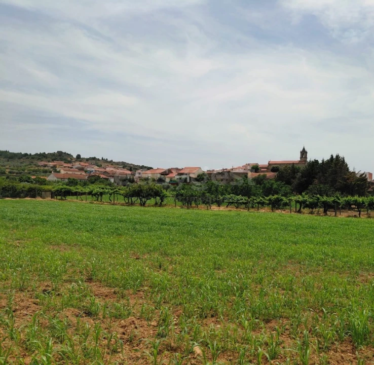 Quinta para Venda em Vila Flor e Nabo Foto 31