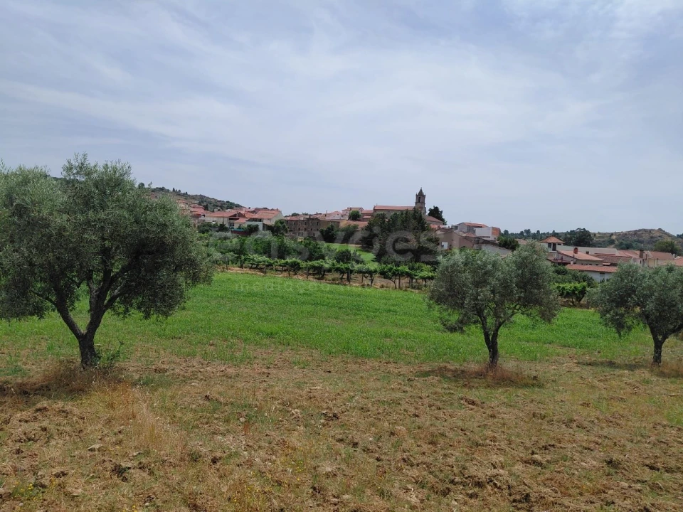 Quinta para Venda em Vila Flor e Nabo Foto 32