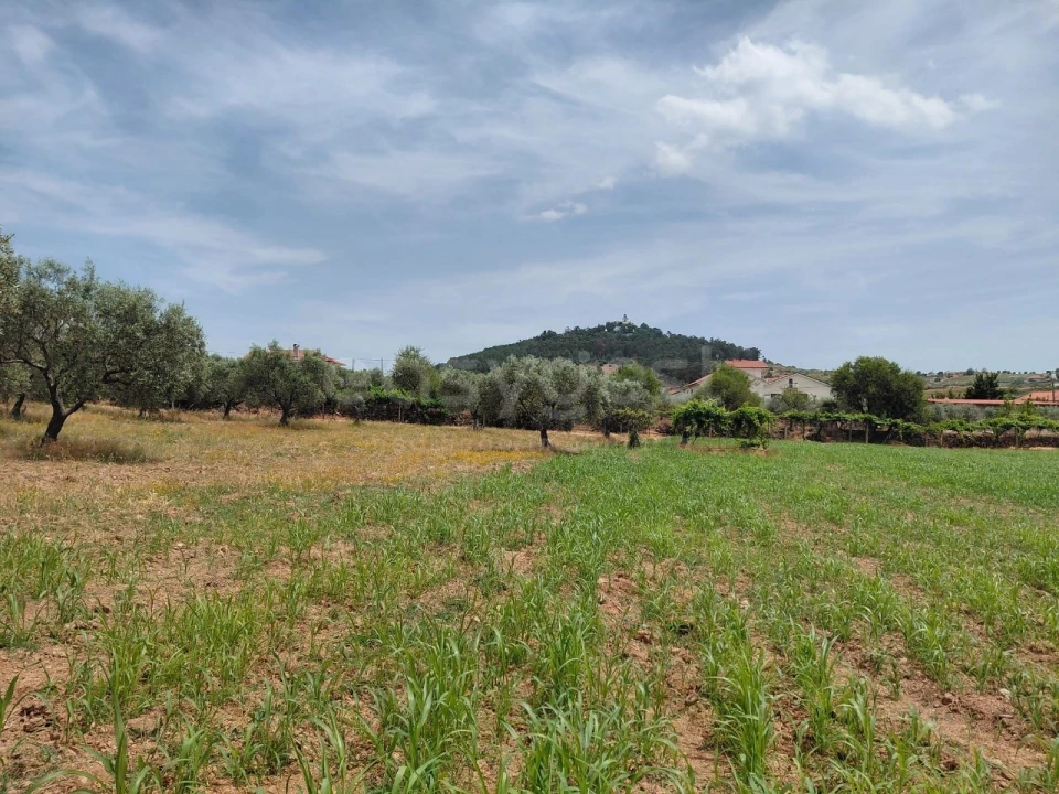 Quinta para Venda em Vila Flor e Nabo Foto 33