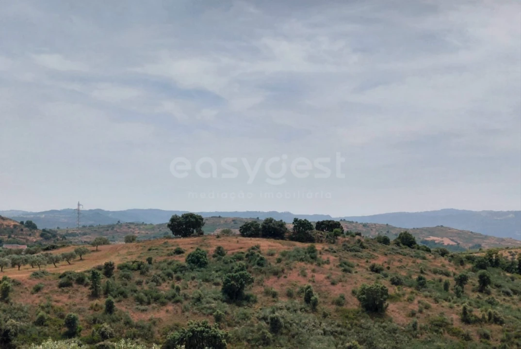 Quinta para Venda em Vila Flor e Nabo Foto 36