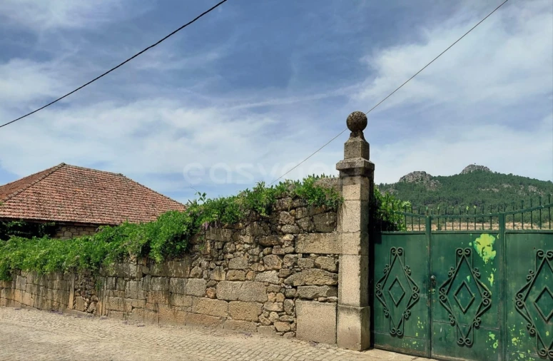 Quinta para Venda em Vila Flor e Nabo Foto 4