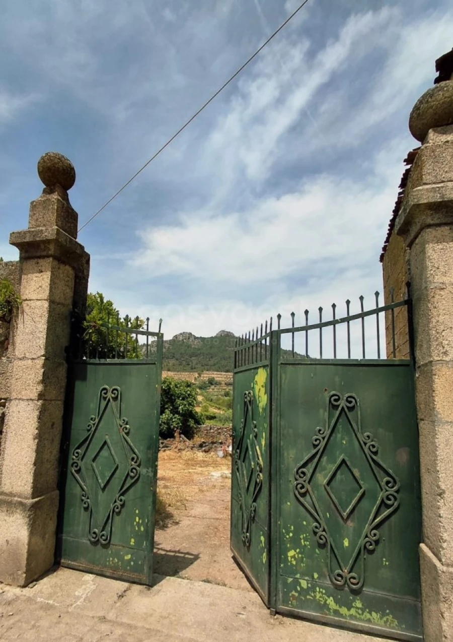 Quinta para Venda em Vila Flor e Nabo Foto 5