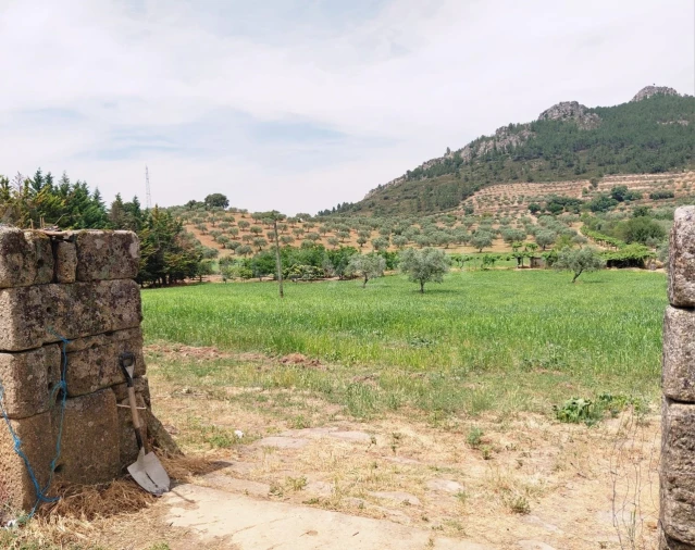 Quinta para Venda em Vila Flor e Nabo Foto 9