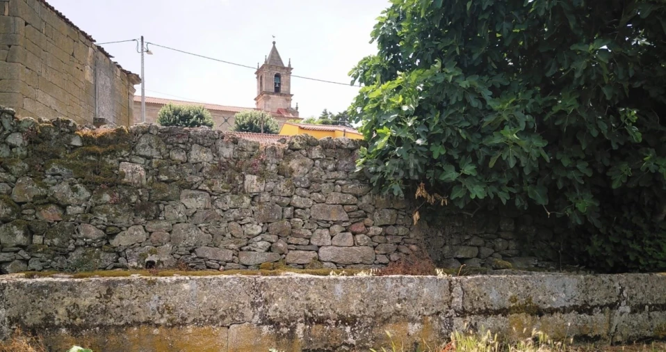 Quinta para Venda em Vila Flor e Nabo Foto 12