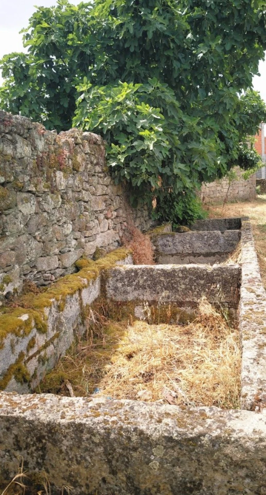 Quinta para Venda em Vila Flor e Nabo Foto 13