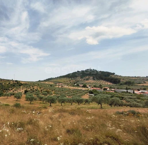 Quinta para Venda em Vila Flor e Nabo Foto 25