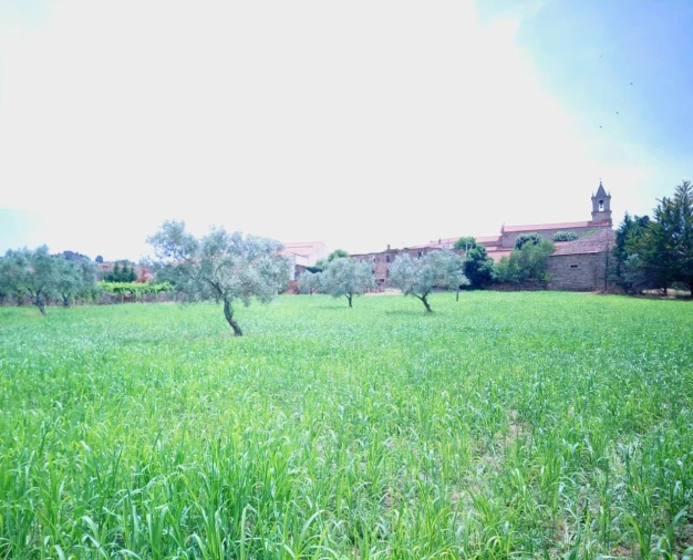 Quinta para Venda em Vila Flor e Nabo Foto 28