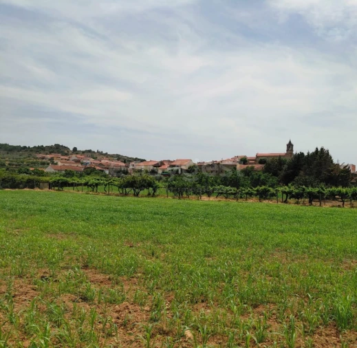 Quinta para Venda em Vila Flor e Nabo Foto 31