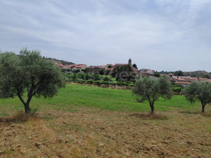 Quinta para Venda em Vila Flor e Nabo Foto 32