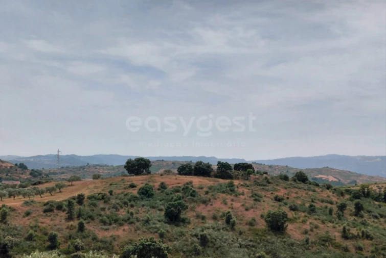 Quinta para Venda em Vila Flor e Nabo Foto 36