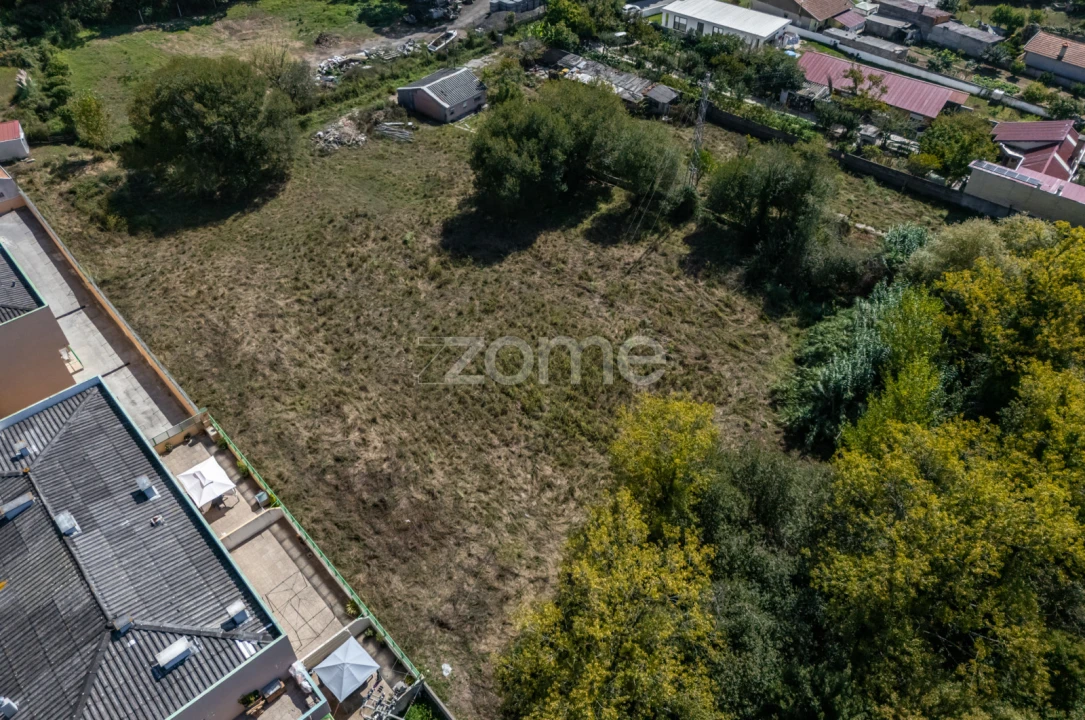 Terreno para Venda em Madalena Foto 13