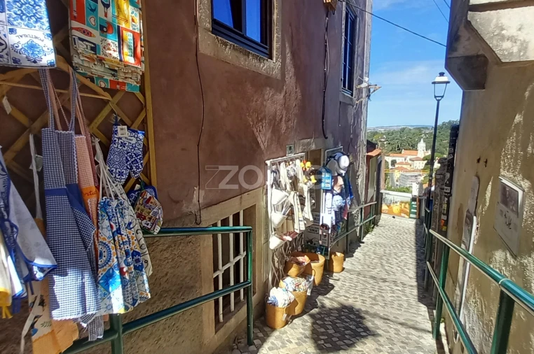 Negócio para Trespasse em Santa Maria e São Miguel, São Martinho, São Pedro Penaferrim Foto 14