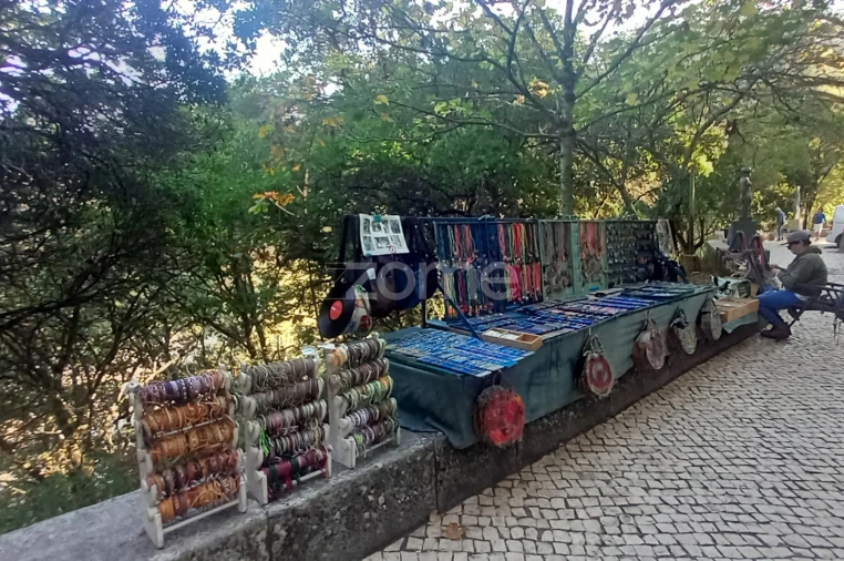 Negócio para Trespasse em Santa Maria e São Miguel, São Martinho, São Pedro Penaferrim Foto 18