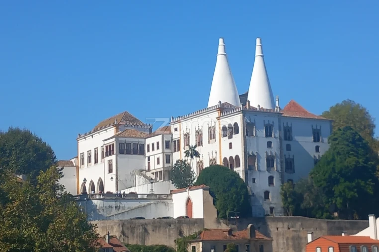 Negócio para Trespasse em Santa Maria e São Miguel, São Martinho, São Pedro Penaferrim Foto 21