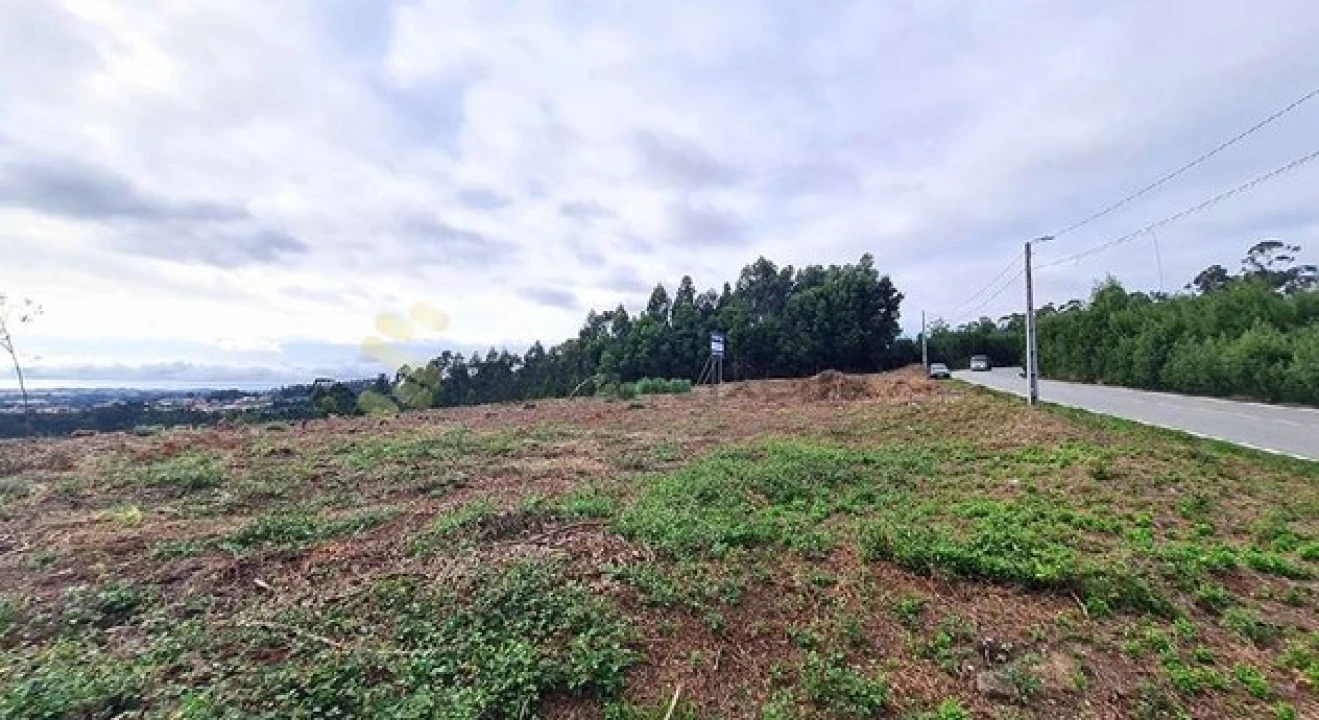Terreno Comércio / Armazém para Venda em São Miguel do Souto e Mosteirô Foto 1