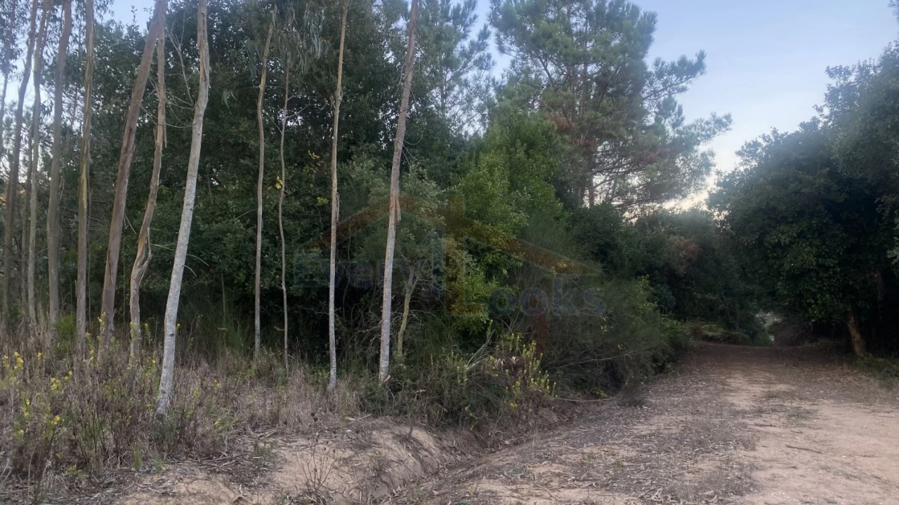 Terreno para Venda em Usseira Foto 7