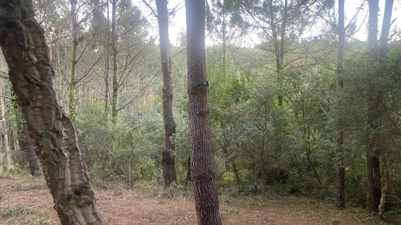 Terreno para Venda em Usseira Foto 21