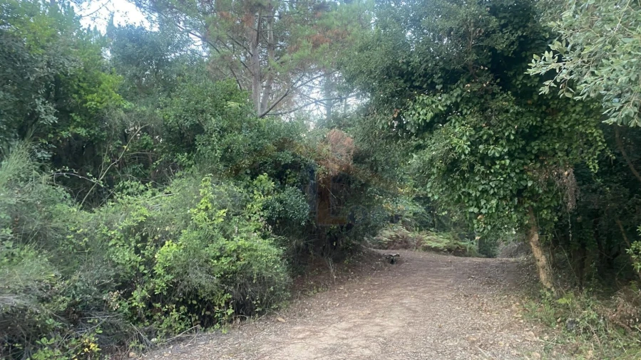 Terreno para Venda em Usseira Foto 11