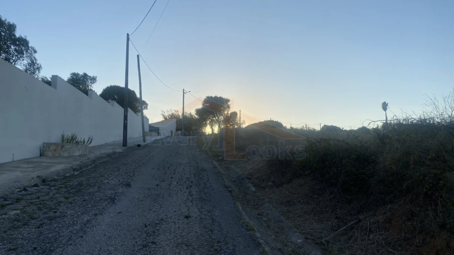 Terreno para Venda em Usseira Foto 4